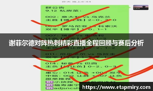 谢菲尔德对阵热刺精彩直播全程回顾与赛后分析